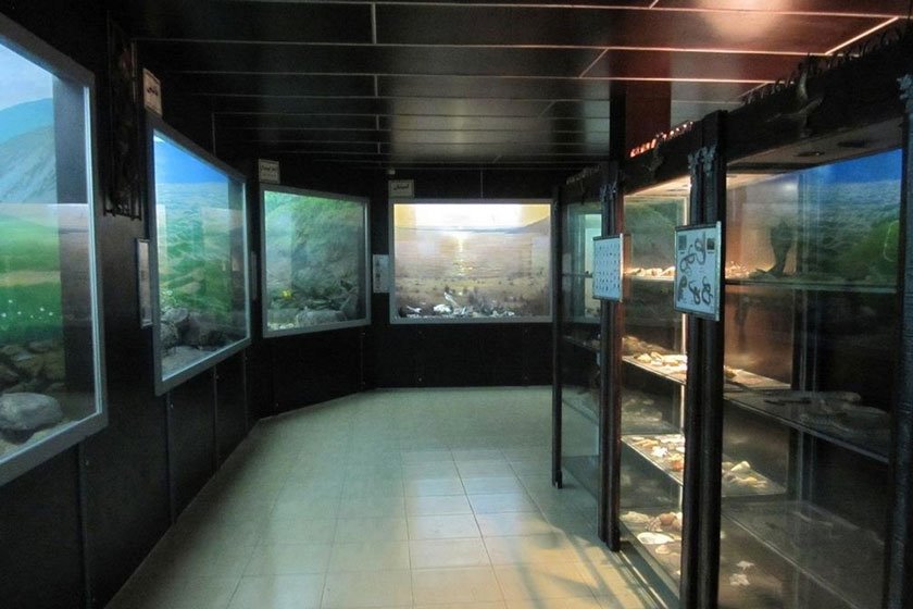موزه تاریخ طبیعی کبودوال